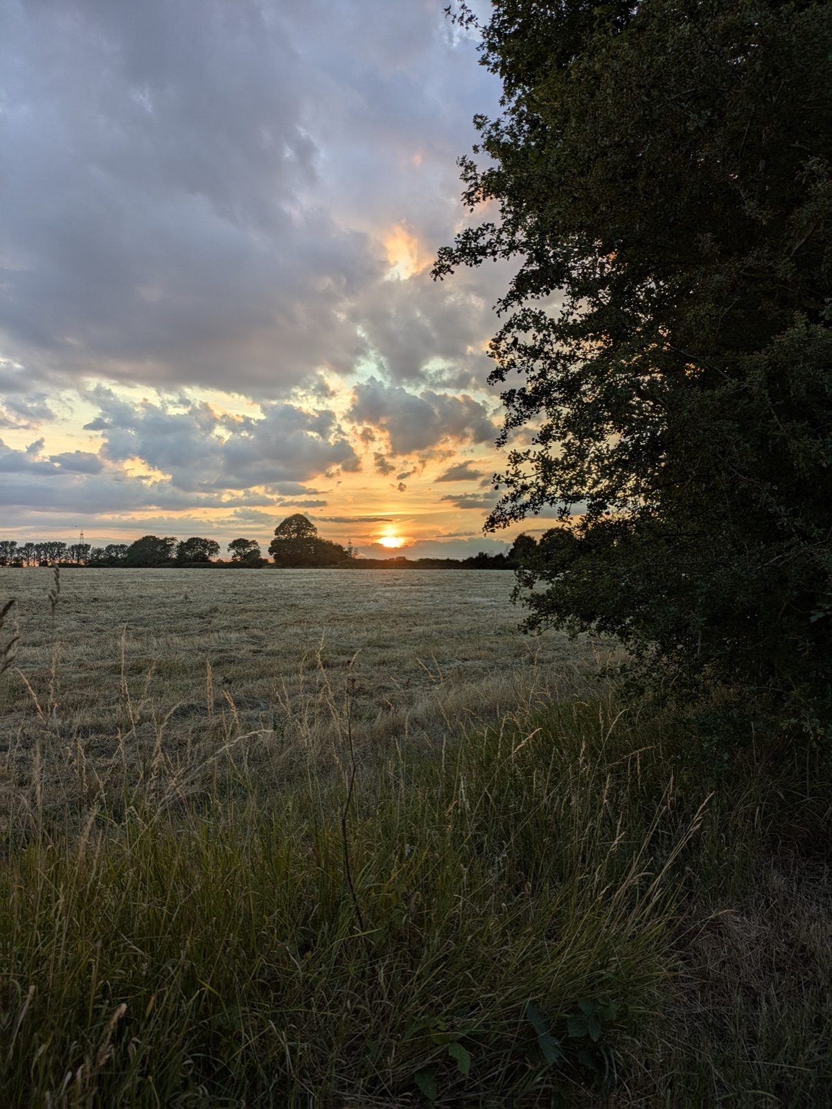 Norfolk sunset over open fields — the landscape 4Cs serves